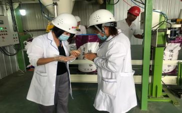 化验工作总结和工作计划5篇