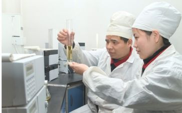 化验工作总结最新7篇