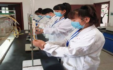 水化验工作总结6篇