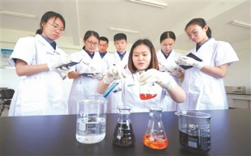 化验工作年终总结6篇