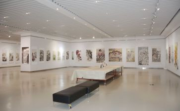 画展开幕式讲话稿7篇