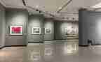 参观书画展心得体会5篇