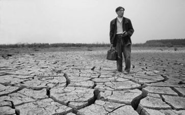 《野性的呼唤》短读后感通用6篇