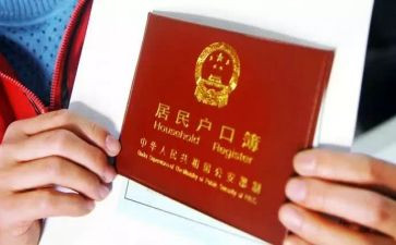 户籍员的工作总结7篇
