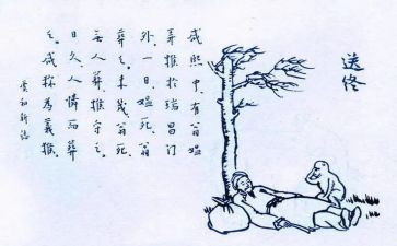 保护生态心得7篇