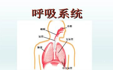 2024年呼吸内科护士年终总结5篇