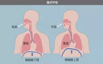 护士呼吸科个人总结7篇