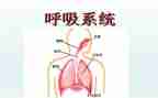 2024年呼吸内科护士年终总结5篇