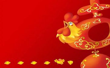 小鸡和蛋教案最新5篇
