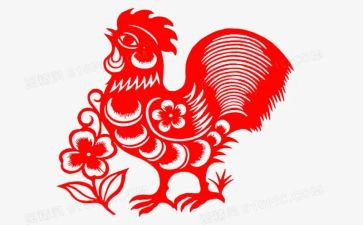鸡协会工作总结7篇