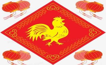 养小鸡作文300字优秀7篇