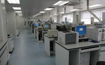 检测的工作总结8篇