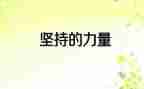 坚持的力量作文精选5篇
