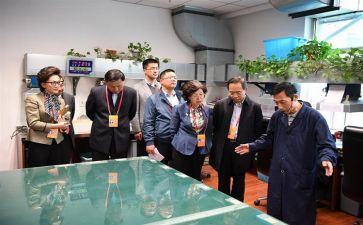 监委会心得体会范文5篇