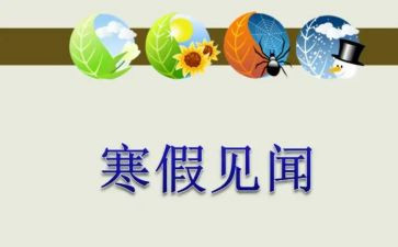 见闻感受的作文8篇