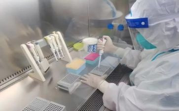 检验岗工作总结6篇