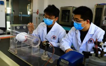 检验学工作总结8篇