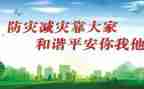 村防灾减灾工作总结精选5篇