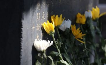 小学生祭奠英烈演讲稿5篇