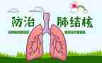结核病工作总结5篇