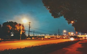 街头调查报告参考5篇
