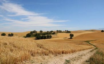 写季节的作文秋天作文精选7篇