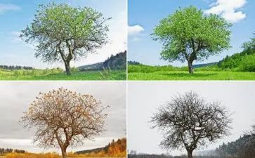 写季节的作文秋天作文6篇