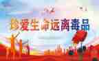 村禁毒工作总结5篇