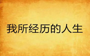 工作经历的心得体会6篇