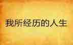 工作经历的心得体会6篇