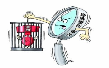 经责审计工作总结参考5篇