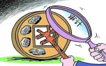 经责审计工作总结通用7篇