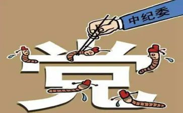 乡镇纪委月工作总结6篇