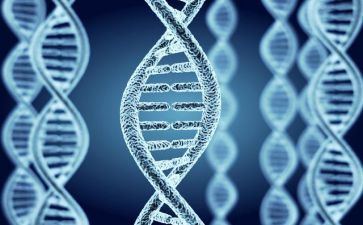 2024传承红色基因演讲稿5篇