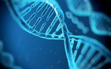 传承红色基因,争做时代新人团日活动总结7篇