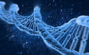 传承红色基因争做时代新人活动总结8篇