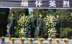清明祭英烈活动总结通用8篇