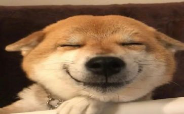 有关开心作文优秀5篇