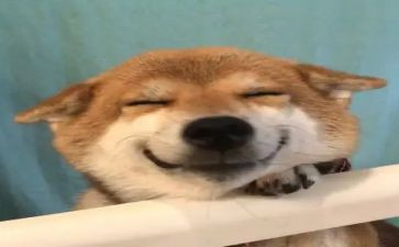 我最开心的一件事作文7篇