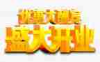 开业前工作计划5篇
