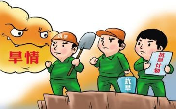 县抗旱工作总结5篇