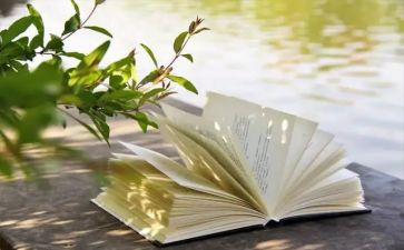 课外书《零》读后感7篇