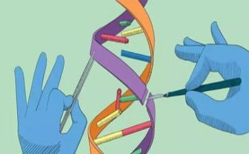 沉与浮大班科学教案参考8篇