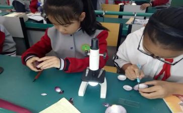 小学科学课心得体会范文7篇