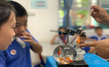 幼儿园科学课心得体会8篇