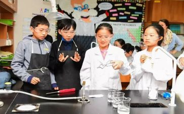 科学课心得体会8篇