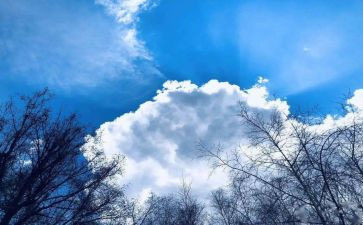 空气污染的调查报告8篇
