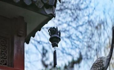 苦与乐大学演讲稿5篇