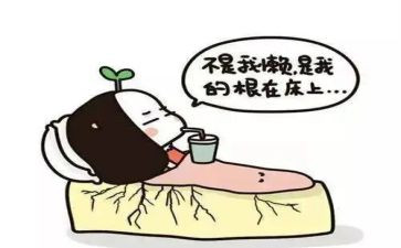 我很懒作文参考7篇