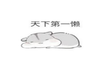 勤姑娘和懒姑娘读后感优秀7篇